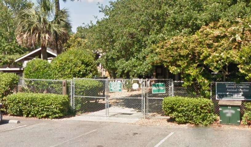 Hilton Head Humane Association