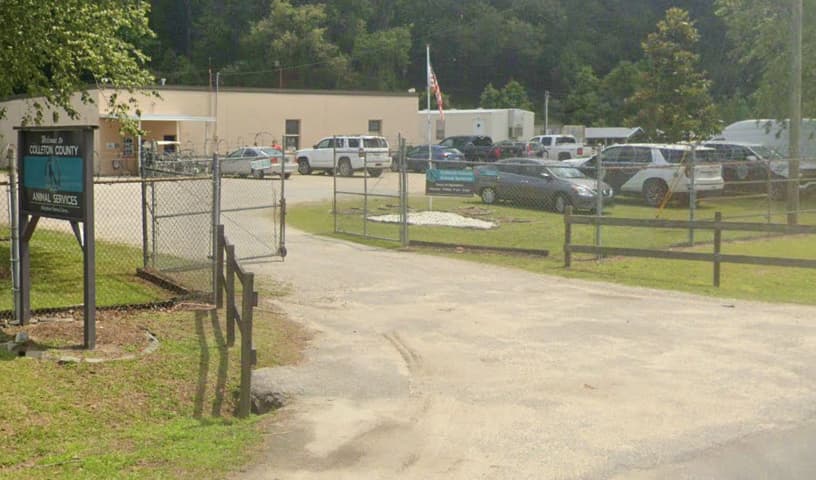 Colleton County Animal Services