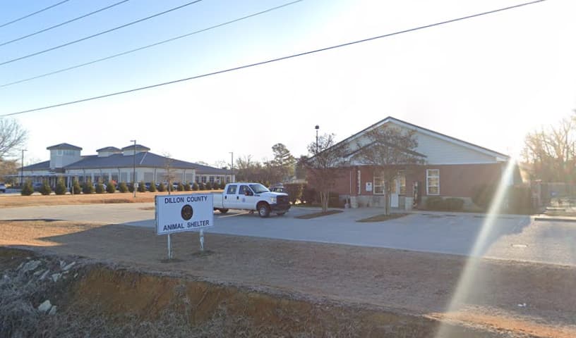 Dillon County Sheriffs’s Animal Protective Services