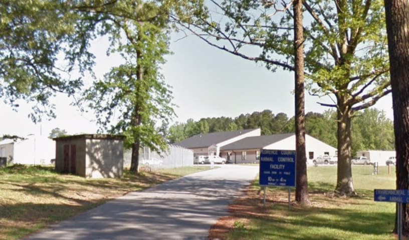 Animal Shelter of Florence County