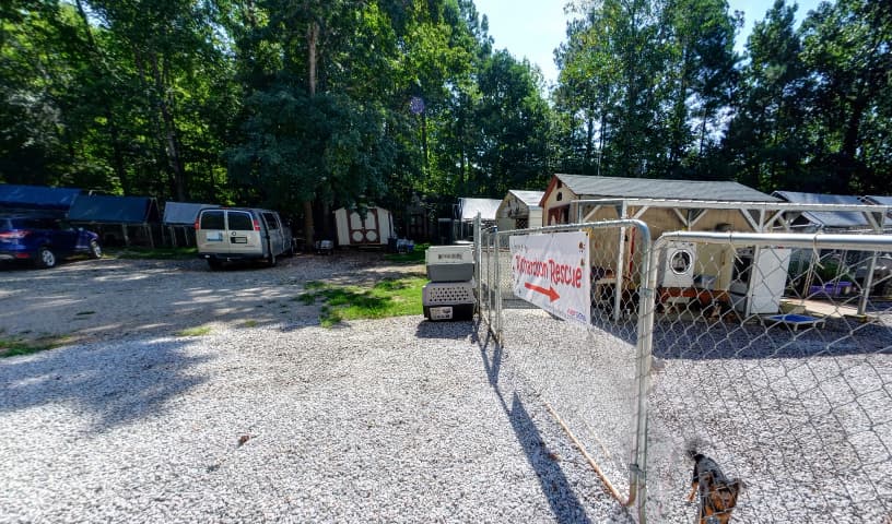 Richardson Rescue