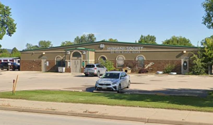 Humane Society of the Black Hills
