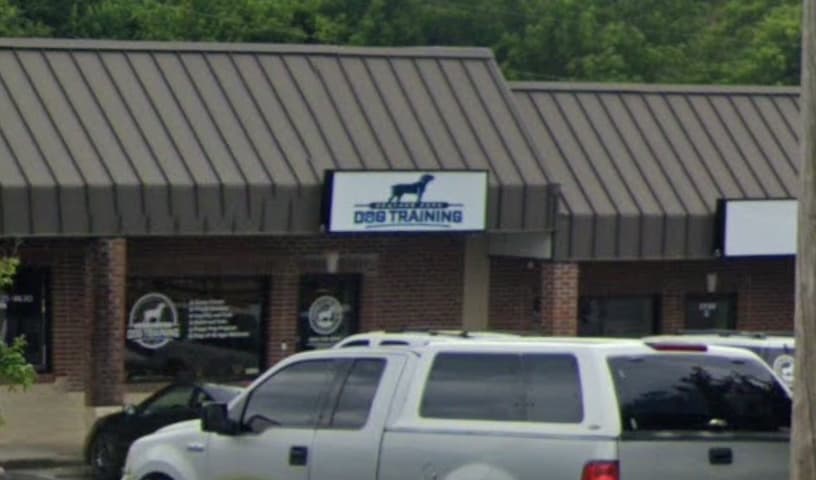 Heather Pope Dog Training