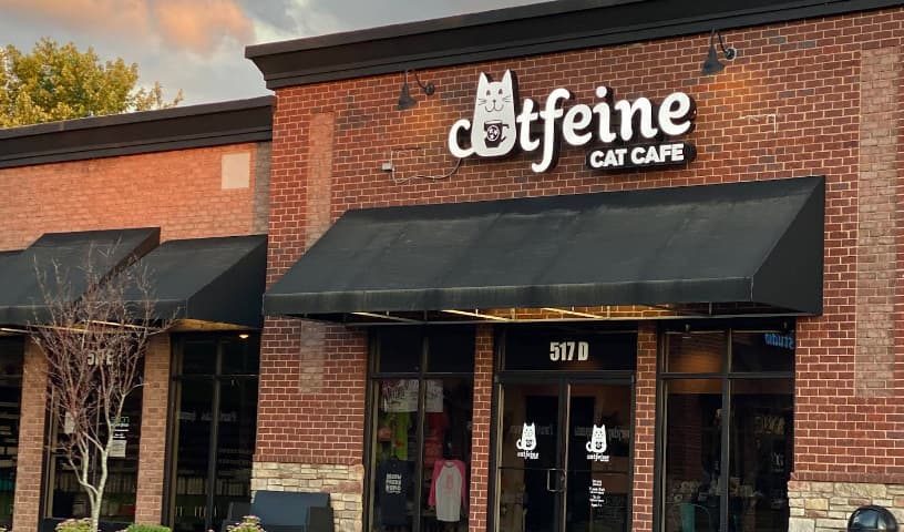 Catfeine Cat Cafe