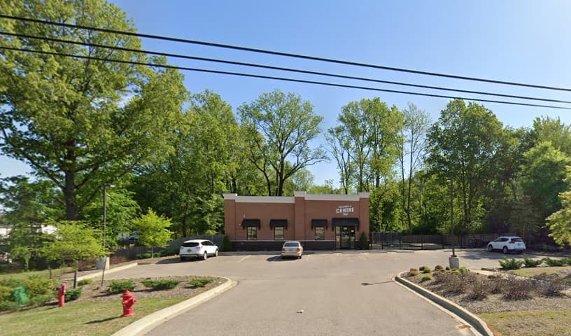 Collierville Canine Club