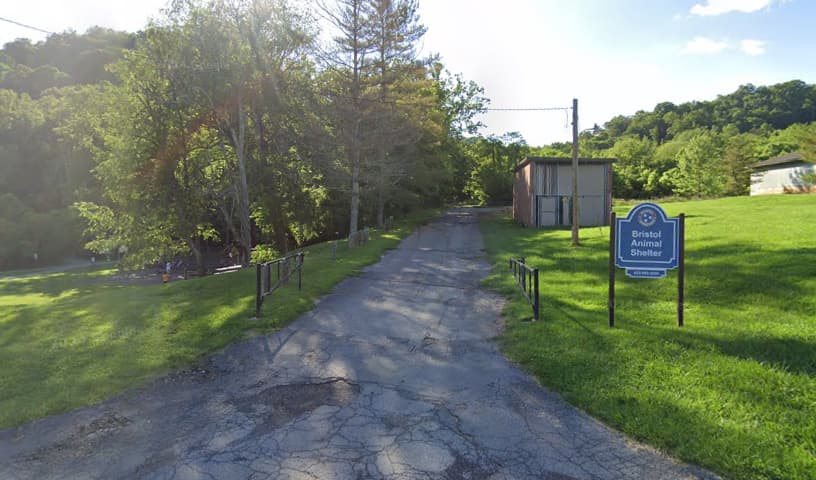 City of Bristol Tennessee Animal Shelter