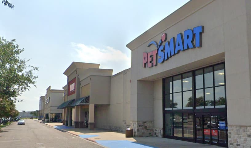 PetSmart Dog Training