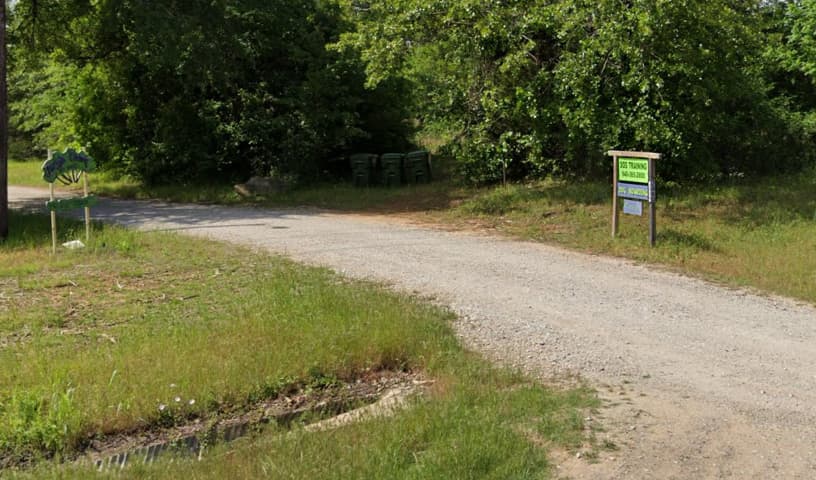 Jungle Camp Pet Resort & Barking Lot Training