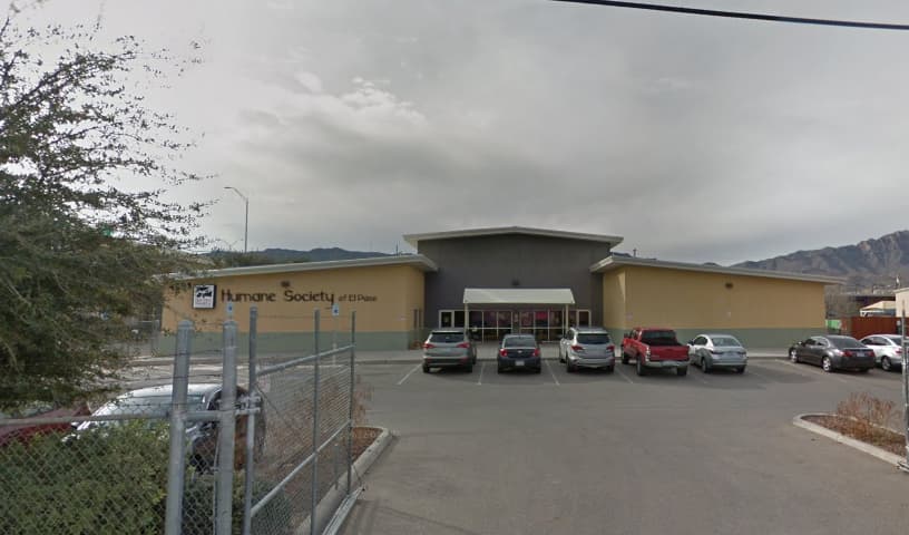 Humane Society of El Paso