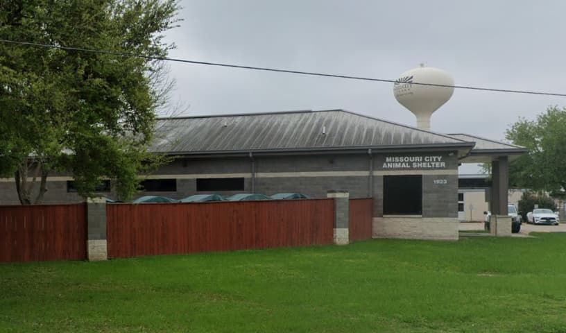 Missouri City Animal Control