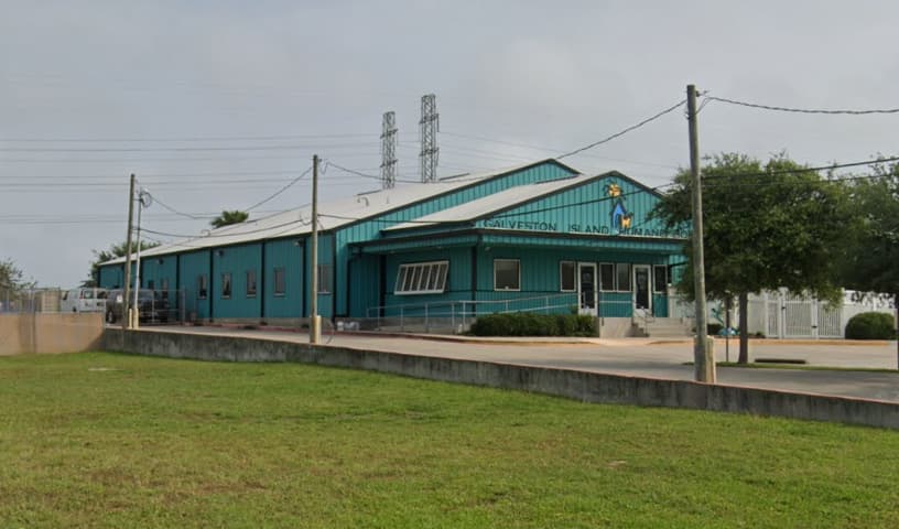 Galveston Island Humane Society
