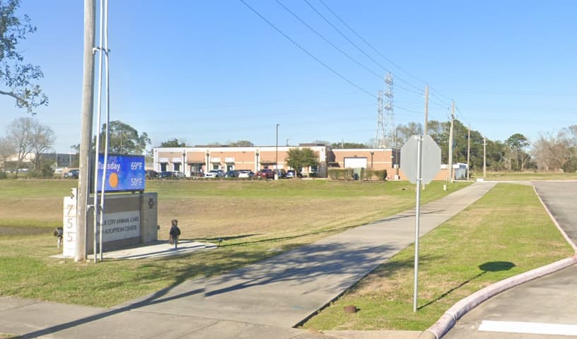 League City Animal Care
