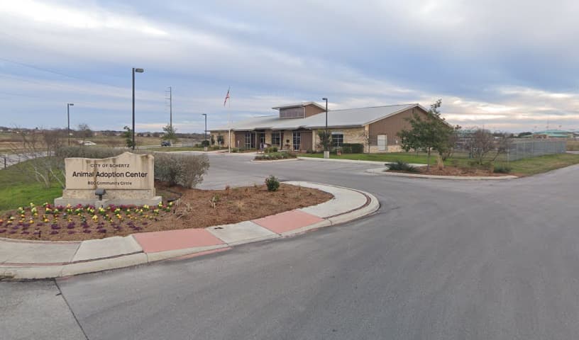 Schertz Animal Services
