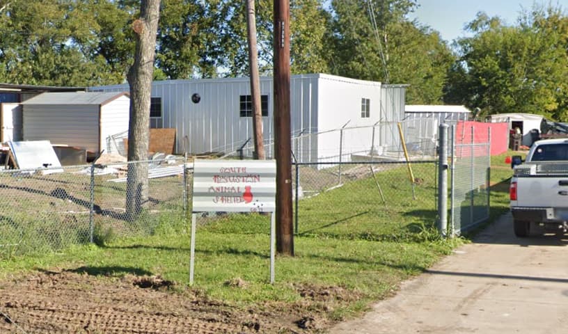 South Houston Humane Department Animal Adoption