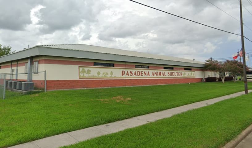 Pasadena Animal Shelter