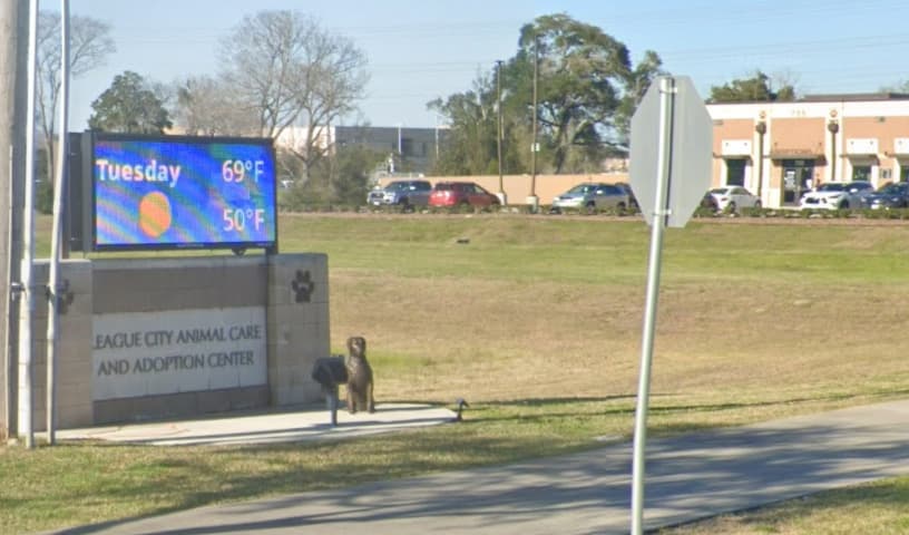 League City Animal Care & Adoption Center