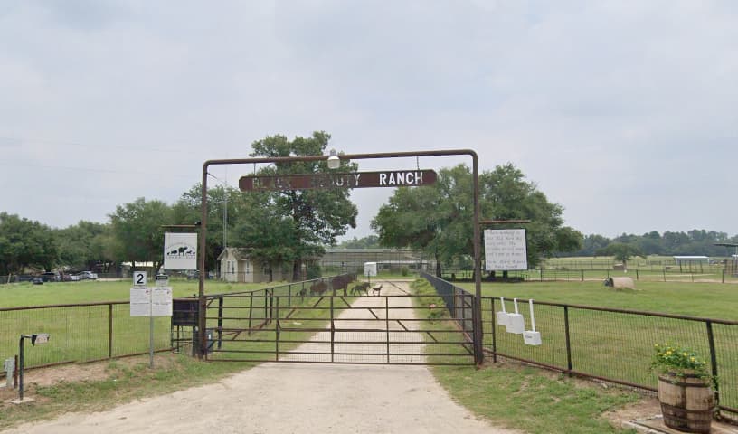Black Beauty Ranch
