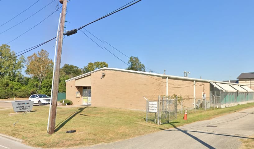 Beaumont Animal Care