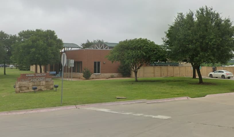 City of Burleson Animal Shelter