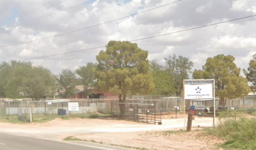 Lone Star Sanctuary for Animals