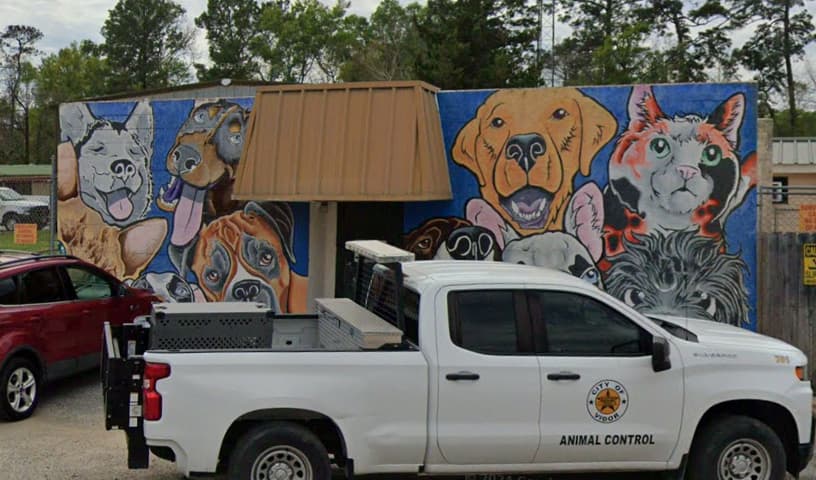 Vidor Animal Shelter