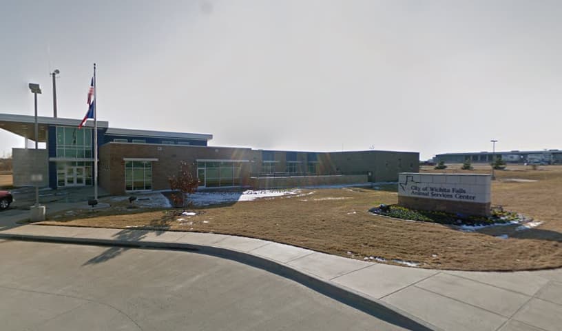 City of Wichita Falls Animal Services