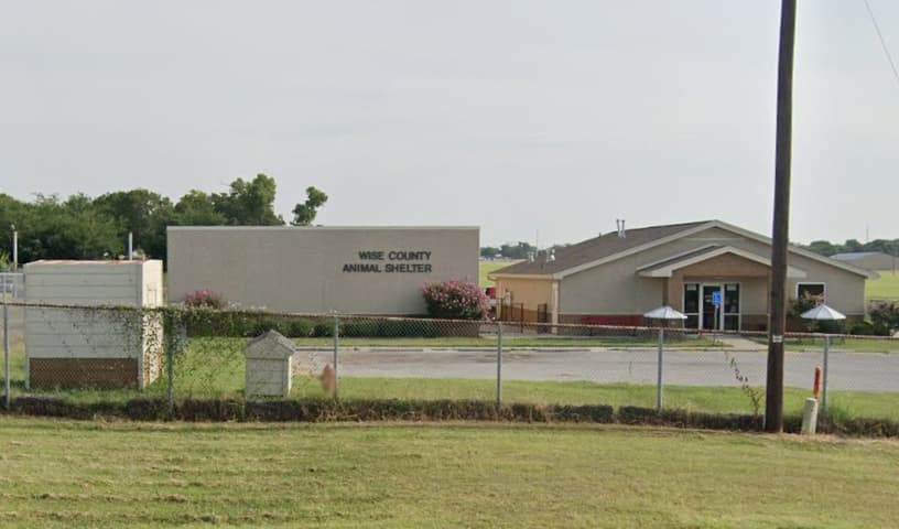 Wise County Animal Shelter