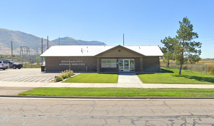 Box Elder County Animal Control