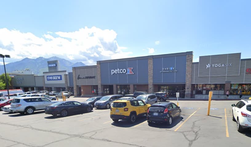 The Pet Samaritan Fund Midvale Petco Store Cat Adoption