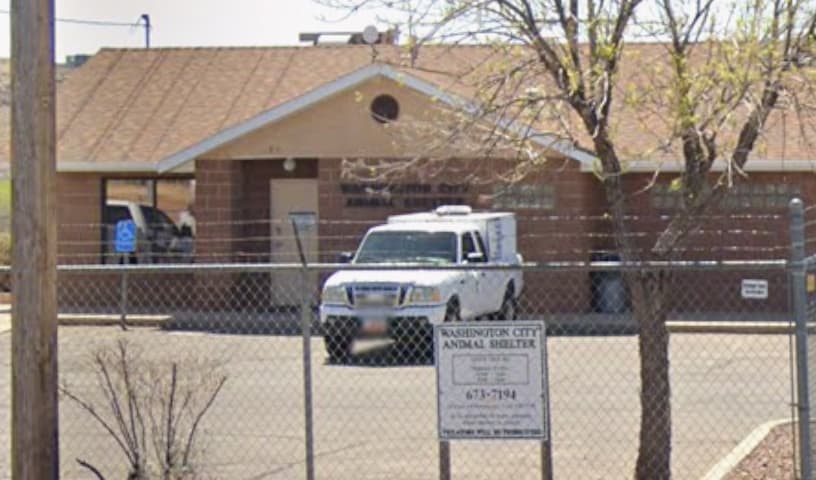 Animal Welfare Services and Shelter