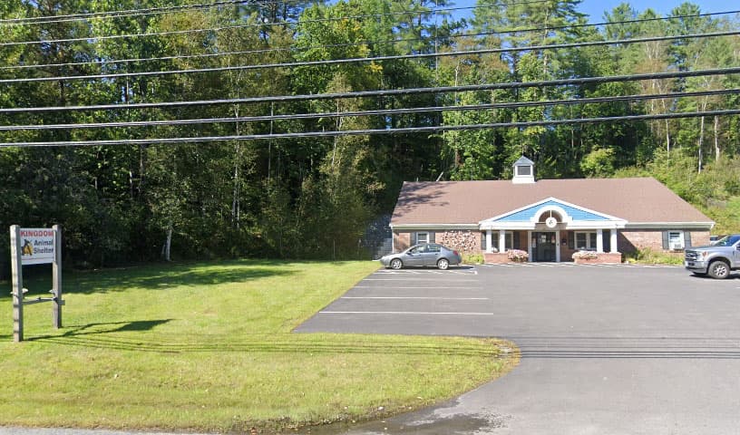 Kingdom Animal Shelter just for cats