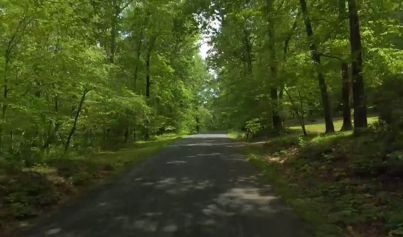 Appomattox County Animal Shelter