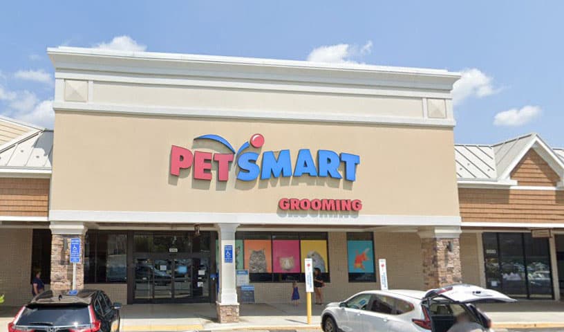 Pets Bring Joy