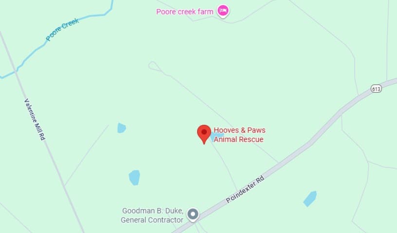 Hooves & Paws Animal Rescue
