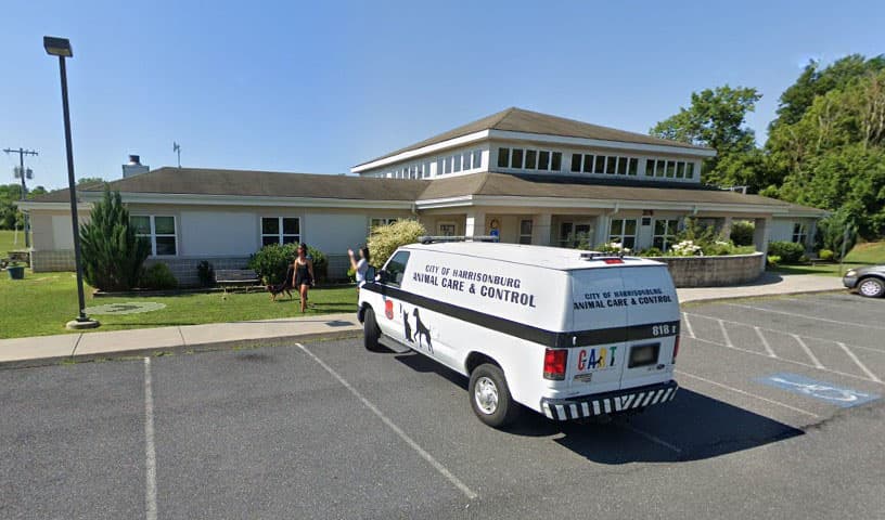 Rockingham/Harrisonburg SPCA