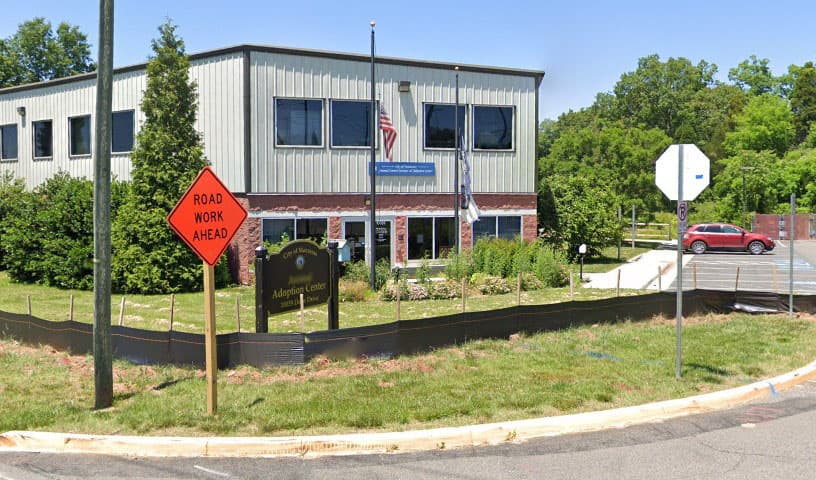 Animal Adoption Center