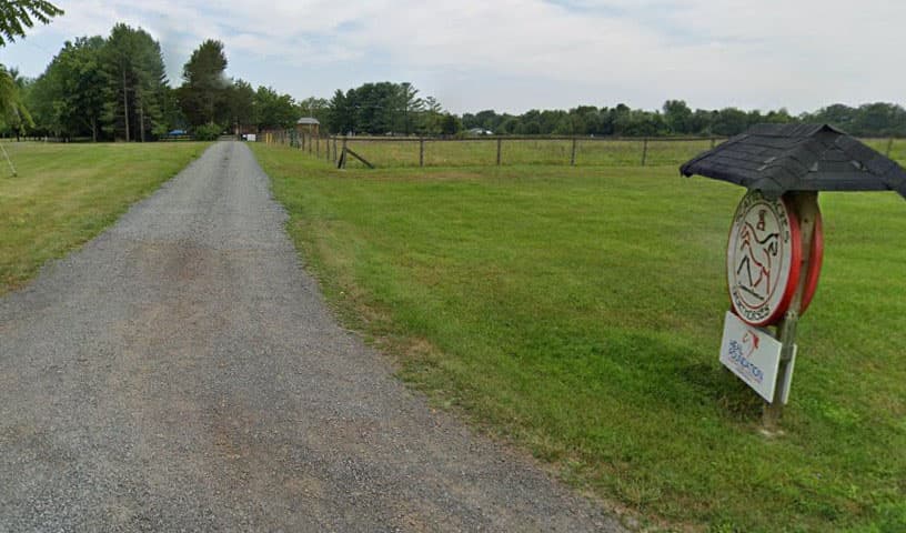 The Horsepower Equine Assisted Learning (HEAL) Foundation