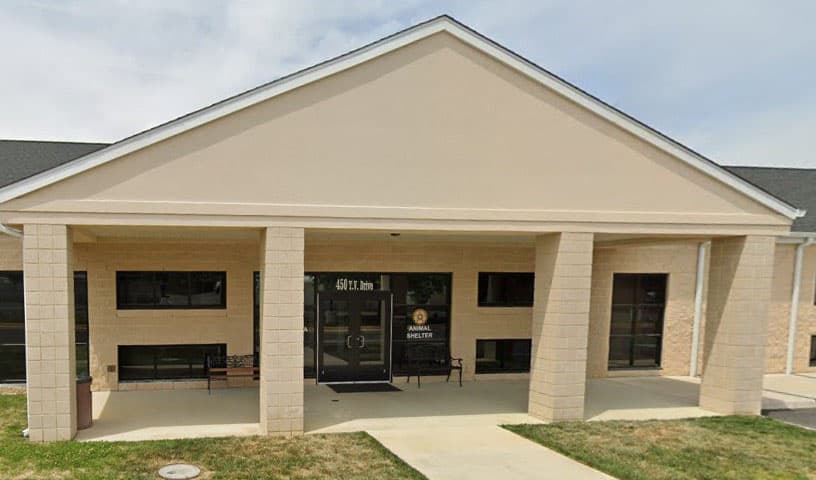 Spotsylvania Animal Shelter