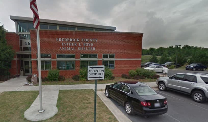 Frederick County Esther Boyd Animal Shelter