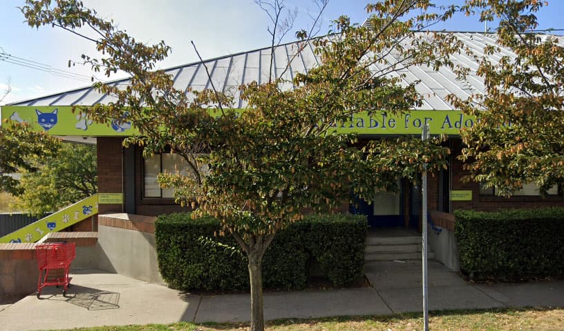 Seattle Animal Shelter