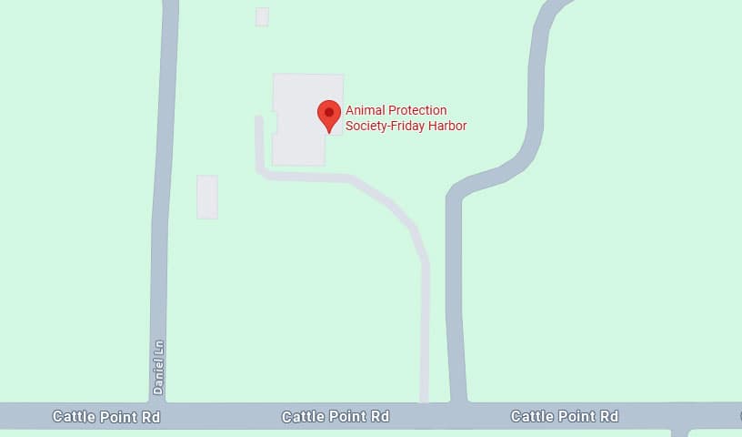 Animal Protection Society-Friday Harbor