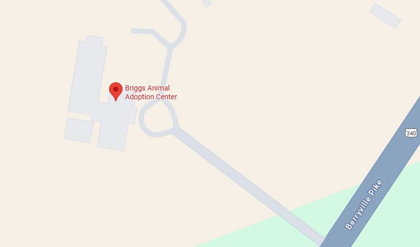 Briggs Animal Adoption Center