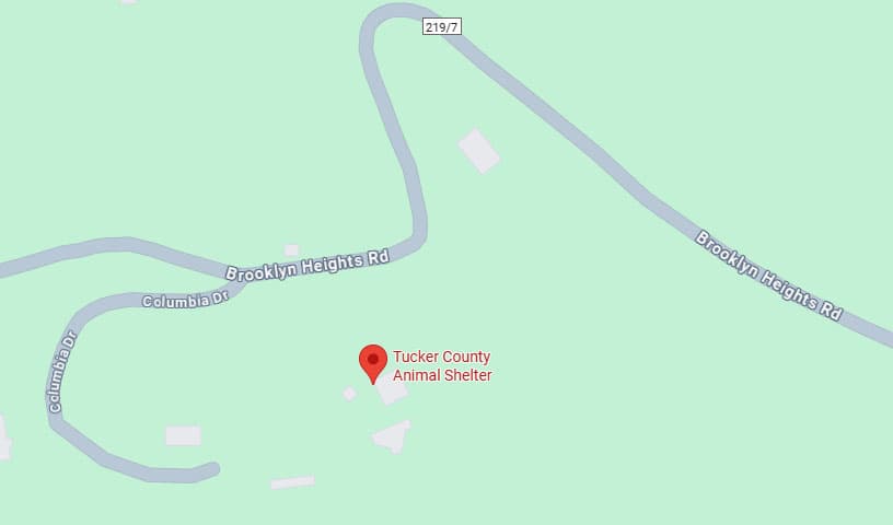 Tucker County Animal Shelter