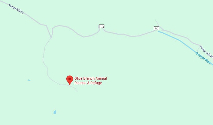 Olive Branch Animal Rescue and Refuge, Inc.