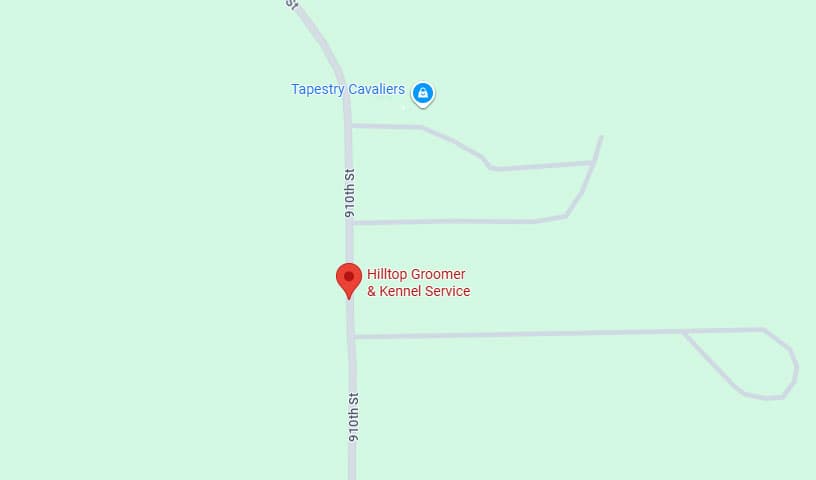 Hilltop Groomer & Kennel Service