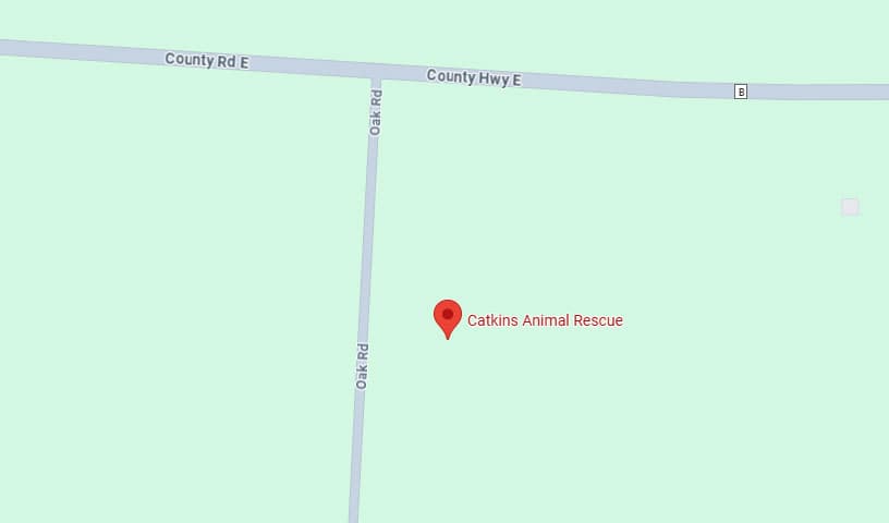 Catkins Animal Rescue, Inc