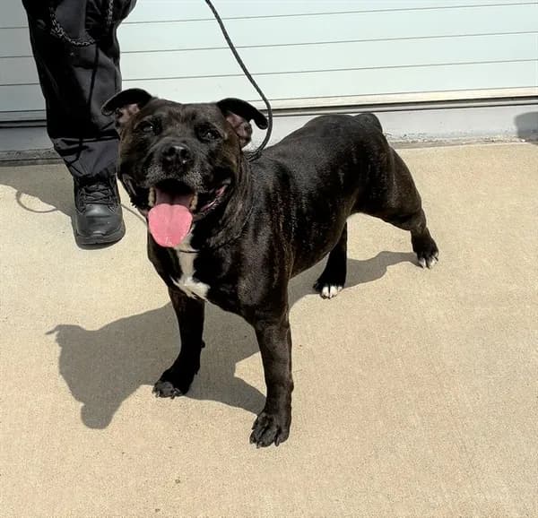 Chewy - Unknown mix